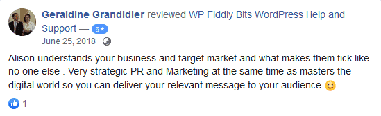 WordPress testimonials and reviews for WP Fiddly Bits.