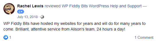 WordPress testimonials and reviews for WP Fiddly Bits.